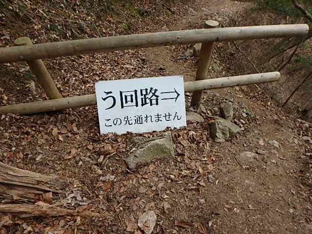 f0334143_20542551.jpg