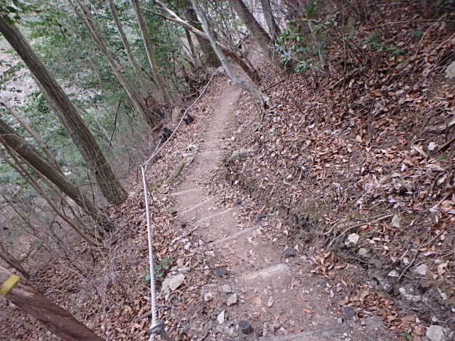 f0334143_20551096.jpg