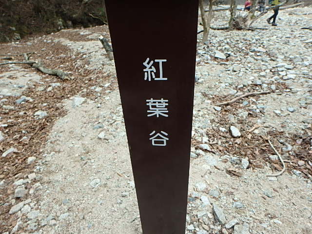 f0334143_20562292.jpg