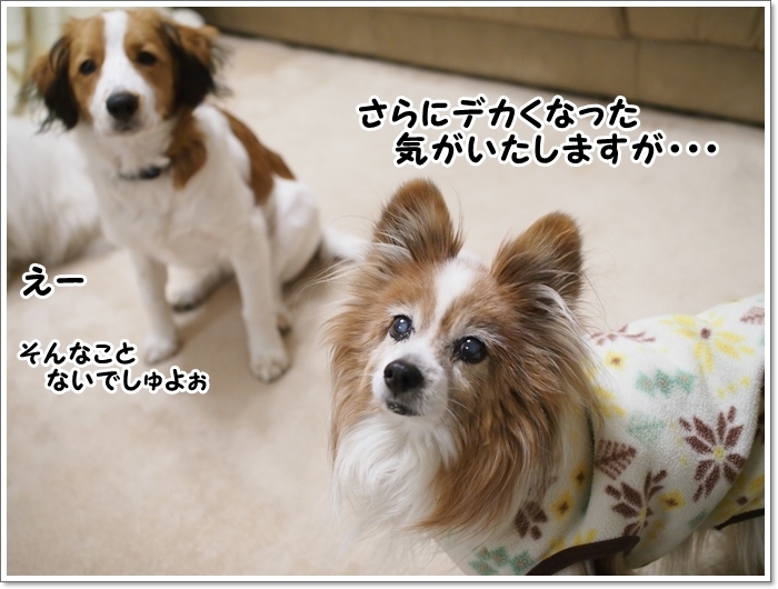 d0013149_00244189.jpg