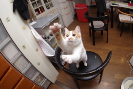 a0028451_10112326.jpeg