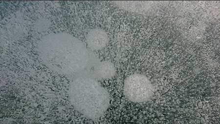 a0290852_21483717.png