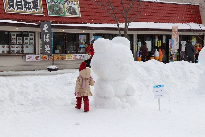 2月10日　大沼・雪と氷の祭典へ　5_b0250154_23100051.jpg