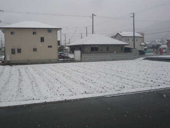 e0313457_23191271.jpg