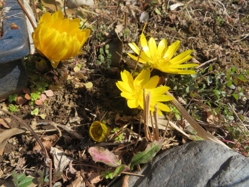 b0301459_04513400.jpg