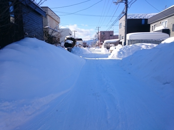 2019年2月12日　排雪_e0267466_15501251.jpg