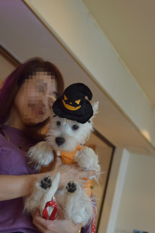 b0242873_01002555.png