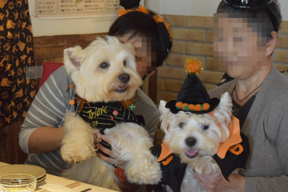 b0242873_01094070.png