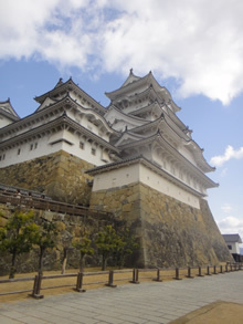 ねんきんQuiz-第542問(カラ期間)_d0132289_19374502.jpg