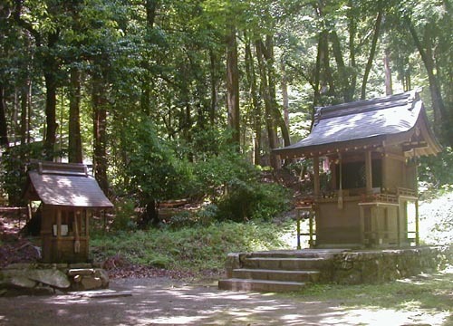 ●神社の造形―日吉大社、東本宮参道脇_d0053294_00533628.jpg