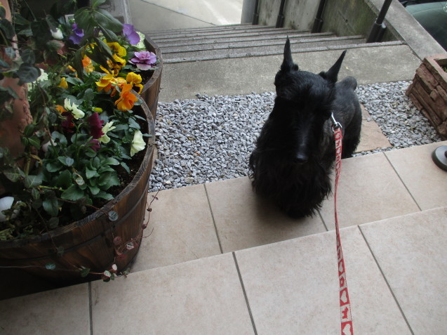 a0091796_21511713.jpeg