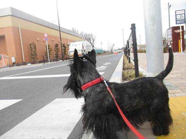 a0091796_21544209.jpeg