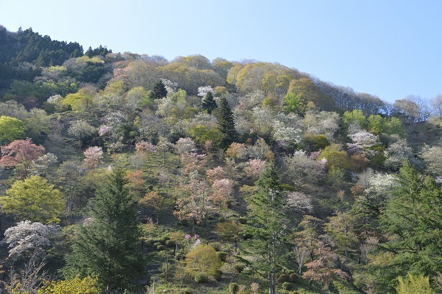 c0124100_11252848.jpg