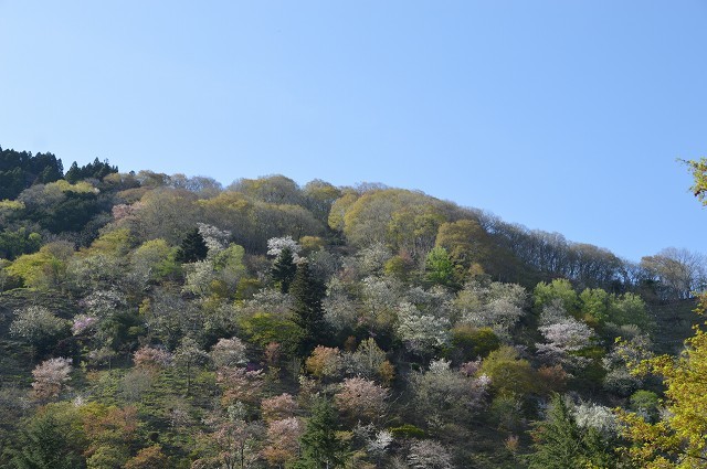 c0124100_11253614.jpg