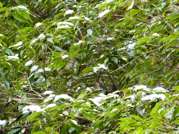 d0170615_23061638.jpg