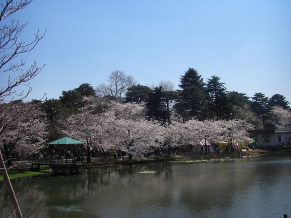 c0074721_16173223.jpg