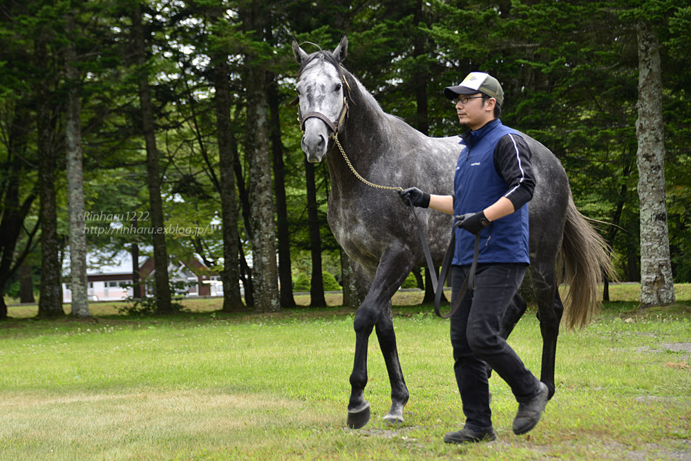 18 7 28 レックススタッド エイシンヒカリ A Shin Hikari 前編 青空に浮かぶ月を眺めながら 18 7 28 レックススタッド エイシンヒカリ A Shin Hikari 前編 青空に浮かぶ月を眺めながら