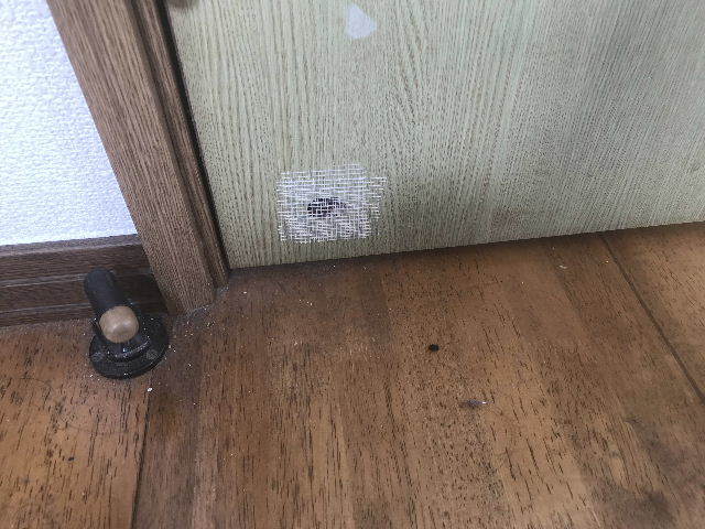 賃貸その2 色々でっす。_f0031037_19351851.jpg