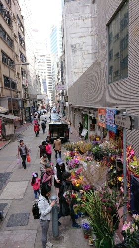 b0197445_14561486.jpg