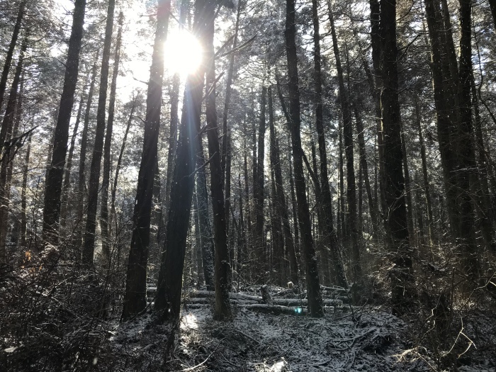 ビビィ泊で挑む【テントなし】 雪中ソロキャンプ【I went to a wild