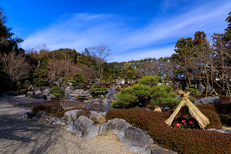 冬牡丹咲く當麻寺奥院_f0155048_2244573.jpg