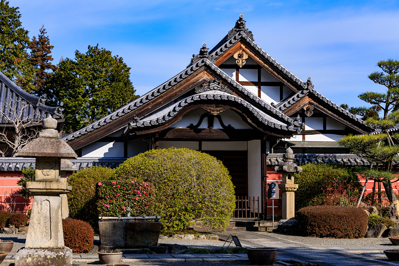 冬牡丹咲く當麻寺奥院_f0155048_22453682.jpg