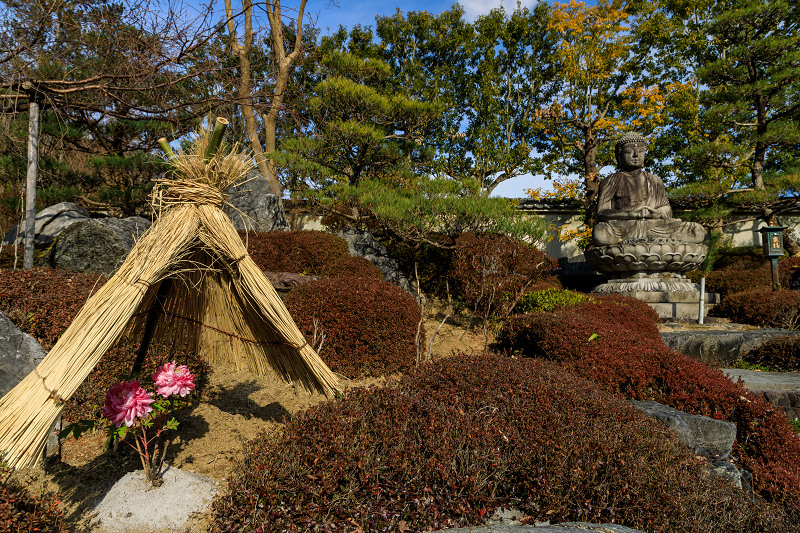 冬牡丹咲く當麻寺奥院_f0155048_2247041.jpg