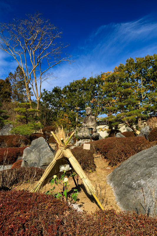 冬牡丹咲く當麻寺奥院_f0155048_2247427.jpg