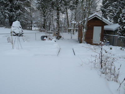 b0090654_01074495.jpg