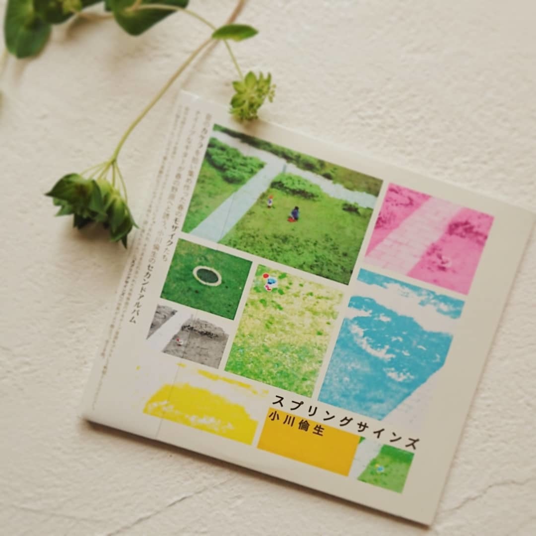 雑貨shop Bee Balm 店舗 新着雑貨情報 雑貨shop Bee Balm 店舗 新着雑貨情報