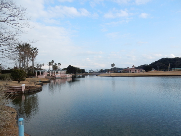 ’19,2,14(木)栄養をしっかりとって風邪撃退!_f0060461_11000253.jpg