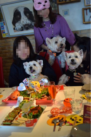 b0242873_00361855.png