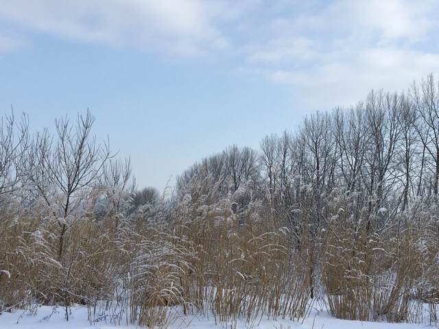 c0380878_07554130.jpg
