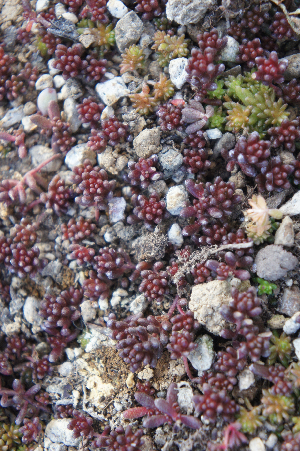 d0179679_16144795.png