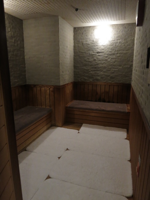 2019年1月 ナハテラス 男性用サウナ_f0299682_11261923.jpg