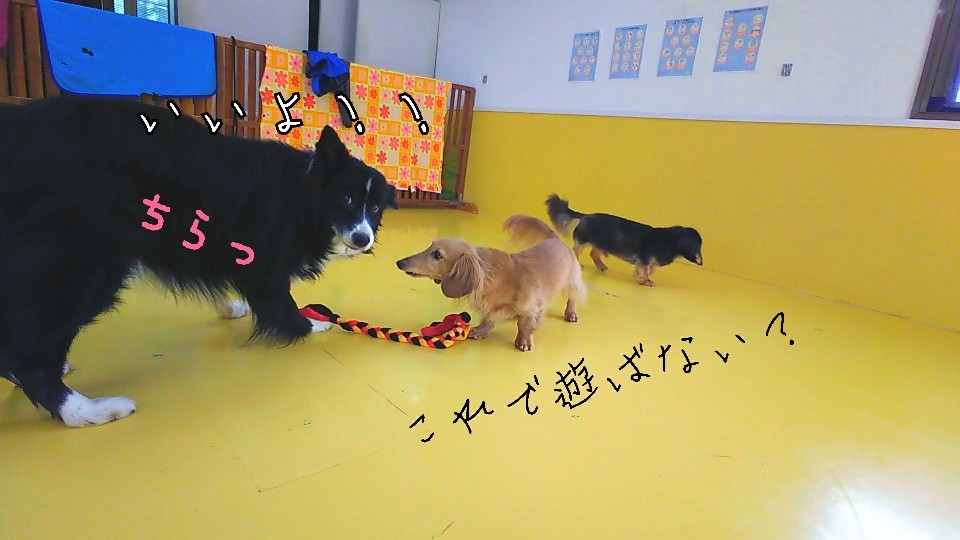 バレンタインディッキッス🎶_f0357682_12065274.jpg