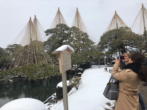 雪の金沢　＠兼六園とナギドラ_e0271890_02352348.jpg