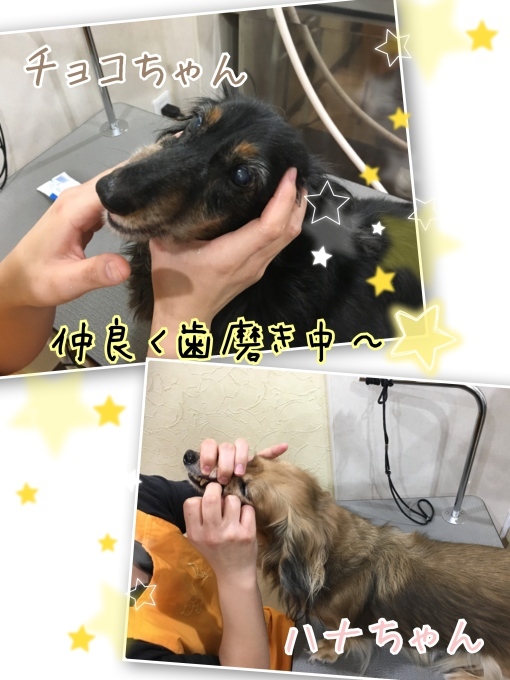 d0269898_17284327.jpeg