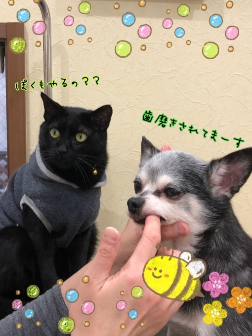 d0269898_17341024.jpeg