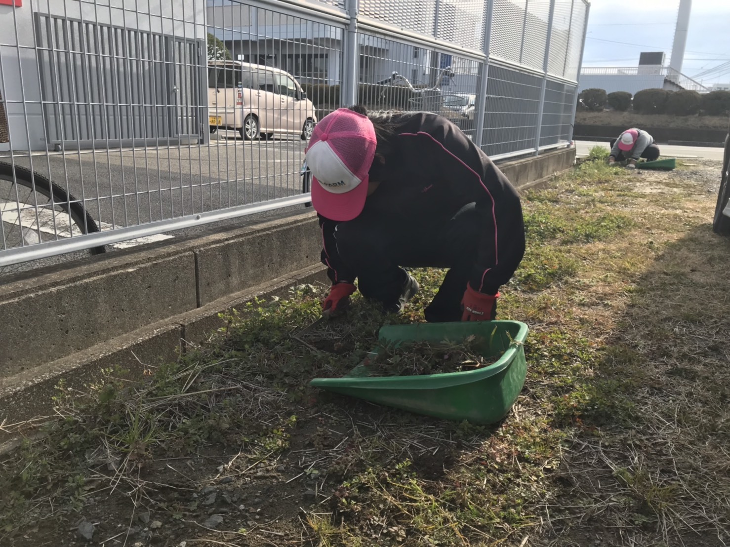 バレンタインデーありがとうございました！地域貢献型　農福地福連携請負作業_e0270198_17281552.jpg