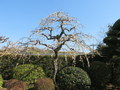 c0125501_15282316.jpg