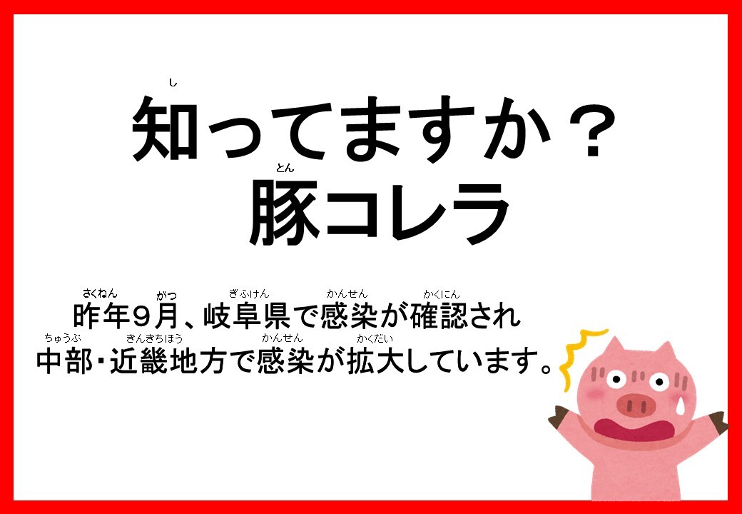 豚コレラって…?_c0290504_17454503.jpg