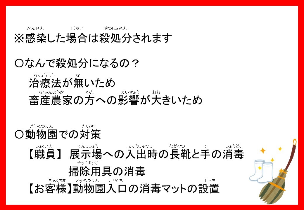 豚コレラって…?_c0290504_17461248.jpg