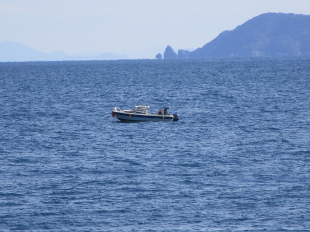 d0107328_15175714.jpg