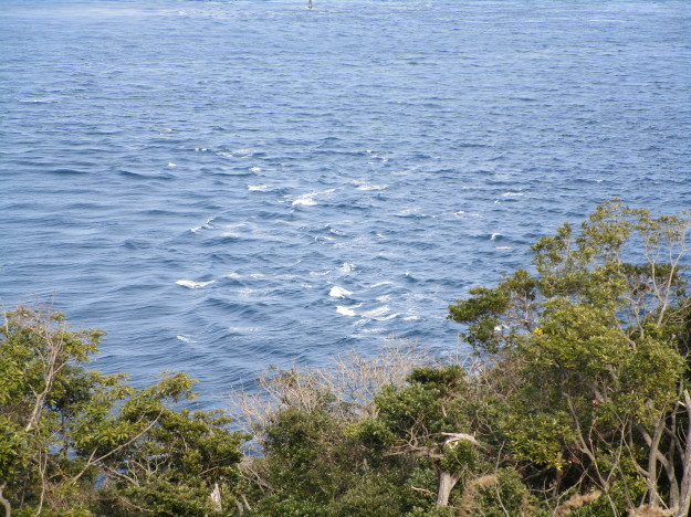 d0107328_16144424.jpg