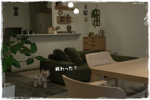 d0179828_14374723.png