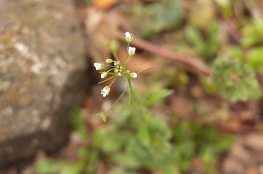 f0132230_00372360.jpg