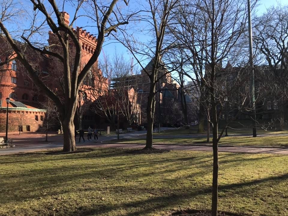 d0269832_21484089.jpeg