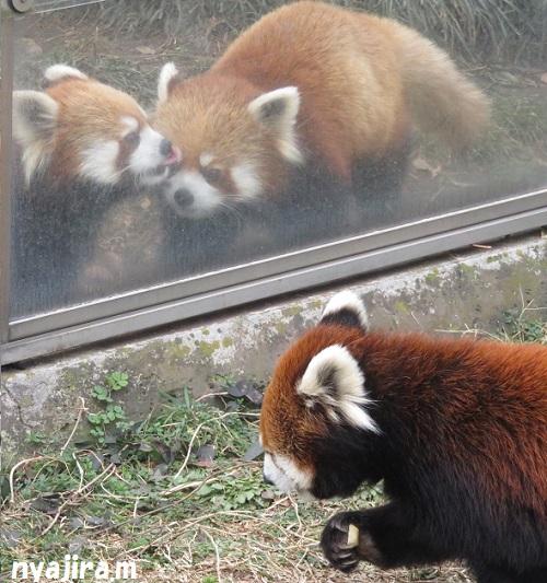2月7日(木)のジャズ&メロディ_f0002743_2110989.jpg