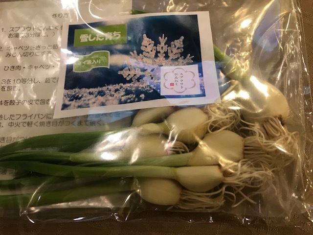 a0151947_16270298.jpeg